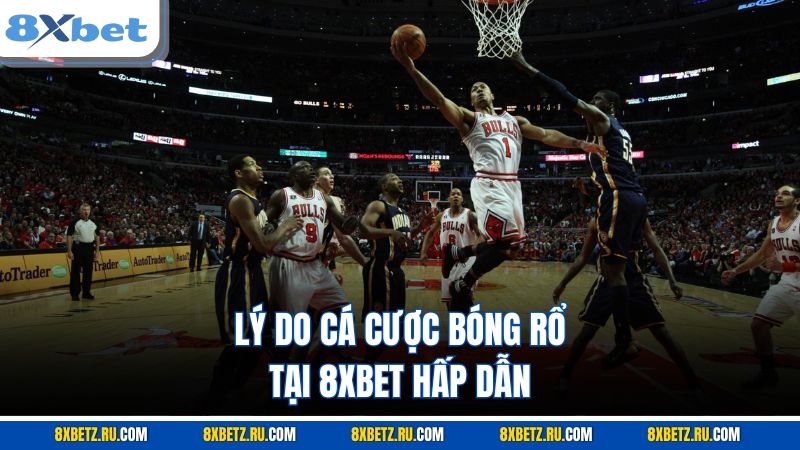 Lý do cá cược bóng rổ tại 8XBET hấp dẫn