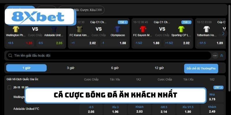 Cá cược bóng đá là top 10 lựa chọn ăn khách nhất